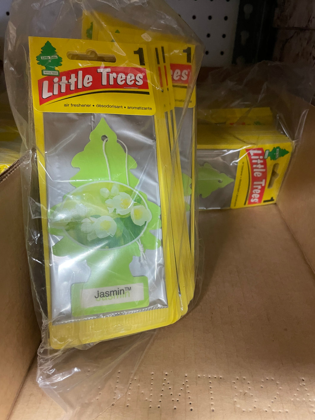Jasmine Little Trees